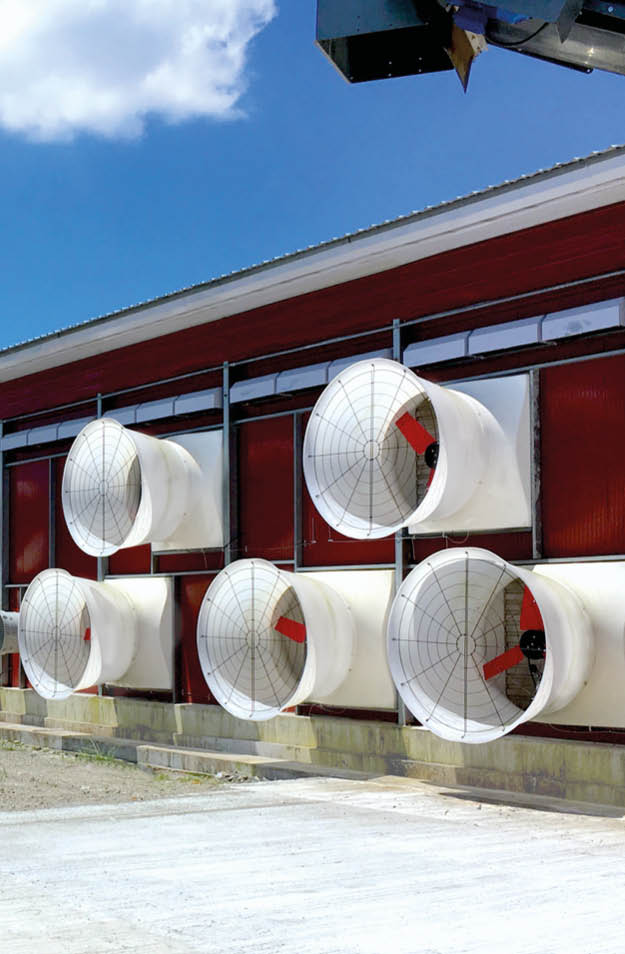 Multifan Ventilators for Versatile Applications